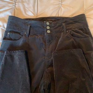 Ann Taylor Jeans Velvet